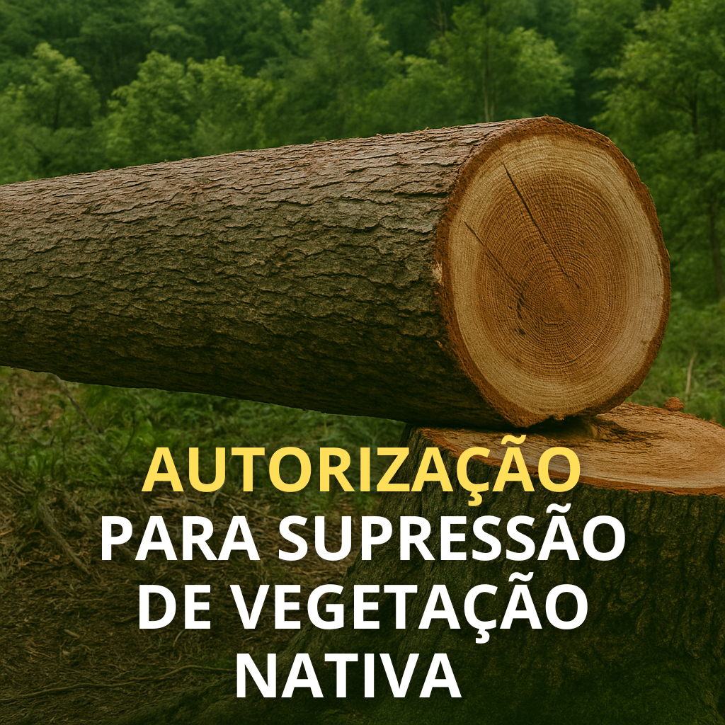 Autorização para supressão de vegetação nativa